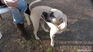 Next China Porn Videos 0